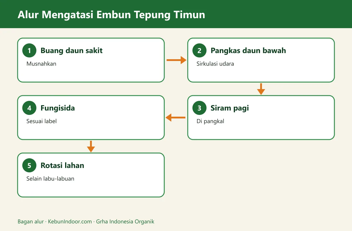 Bagan alur embun tepung timun