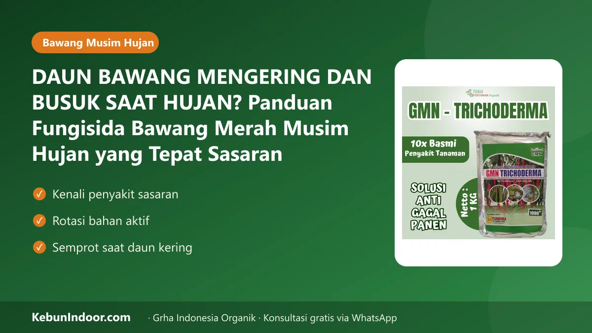 Fungisida bawang merah musim hujan