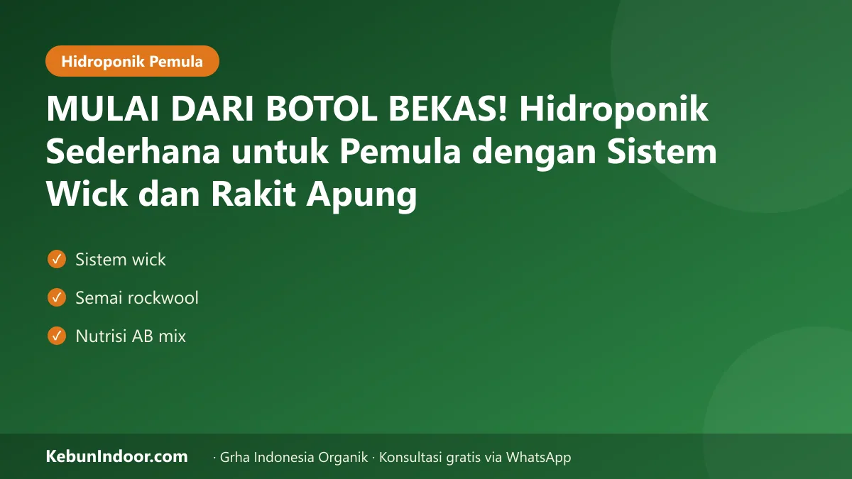 Hidroponik sederhana untuk pemula