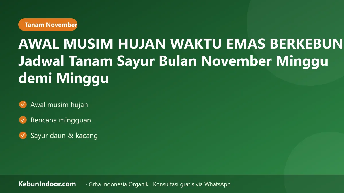 AWAL MUSIM HUJAN WAKTU EMAS BERKEBUN! Jadwal Tanam Sayur Bulan November Minggu demi Minggu