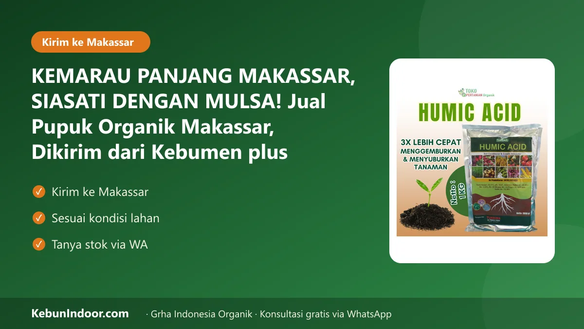 KEMARAU PANJANG MAKASSAR, SIASATI DENGAN MULSA! Jual Pupuk Organik Makassar, Dikirim dari Kebumen plus Panduan Sesuai Lahan