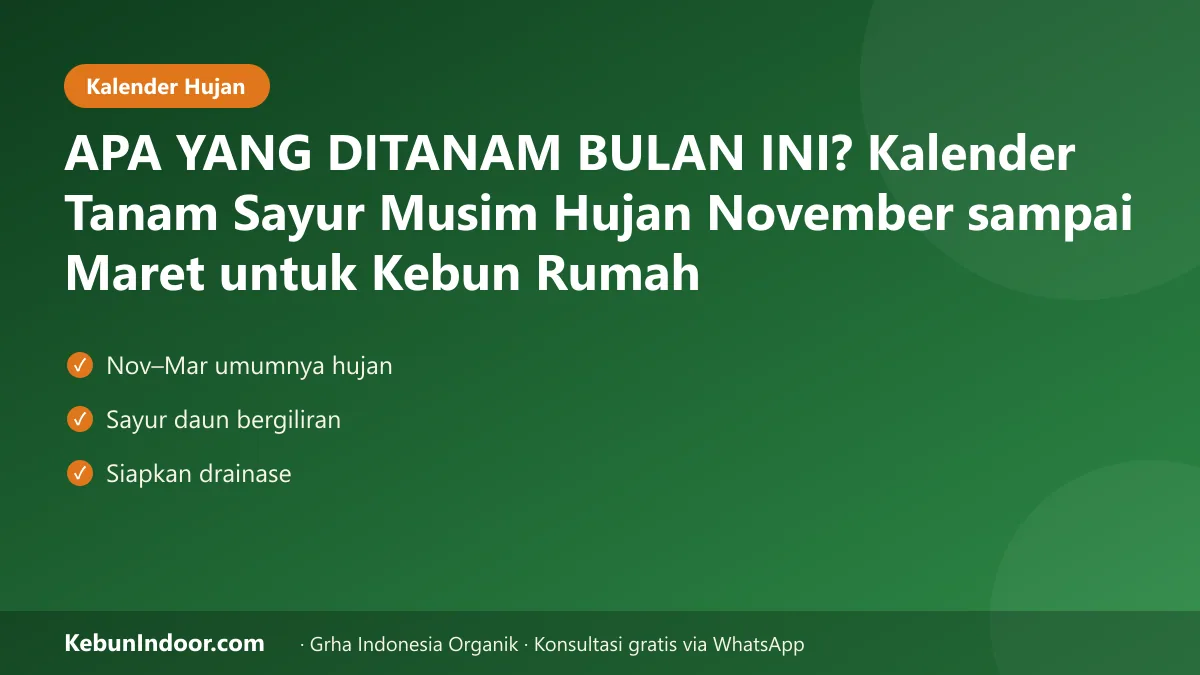 APA YANG DITANAM BULAN INI? Kalender Tanam Sayur Musim Hujan November sampai Maret untuk Kebun Rumah