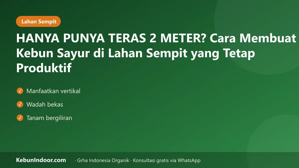 Kebun sayur di lahan sempit