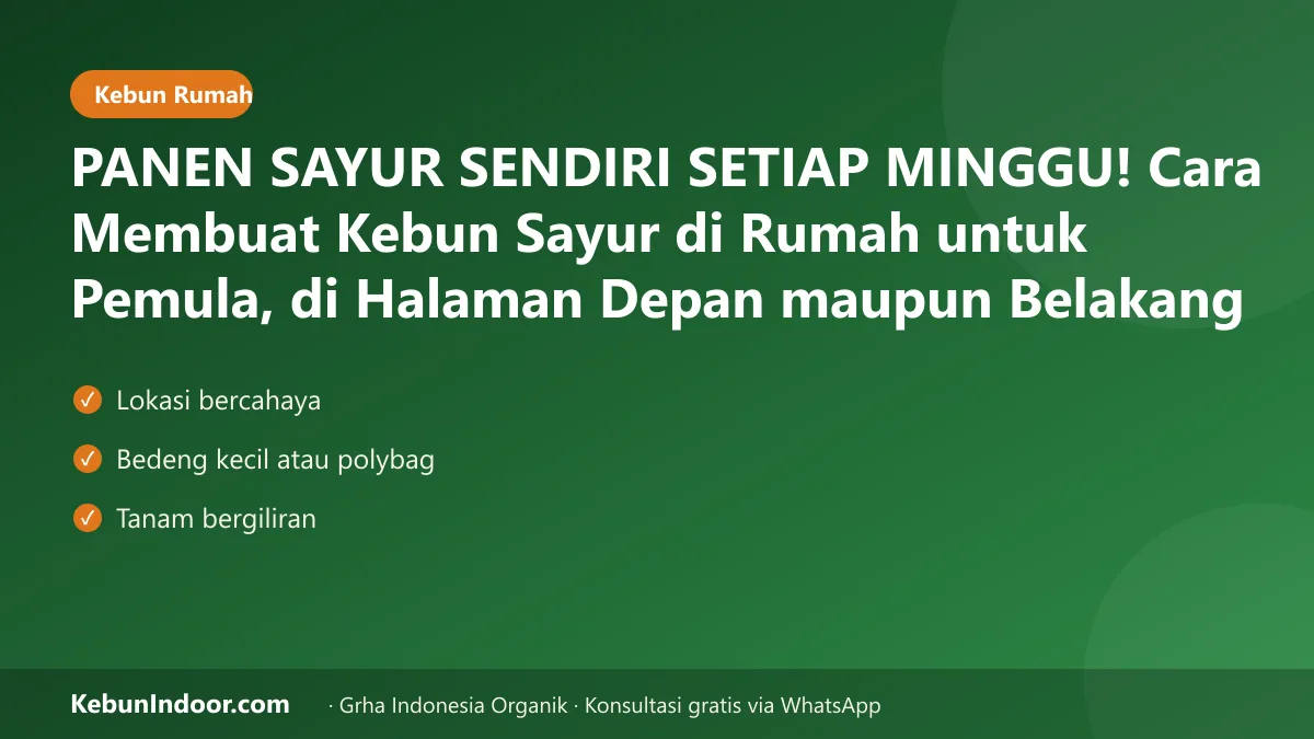 Kebun sayur di rumah