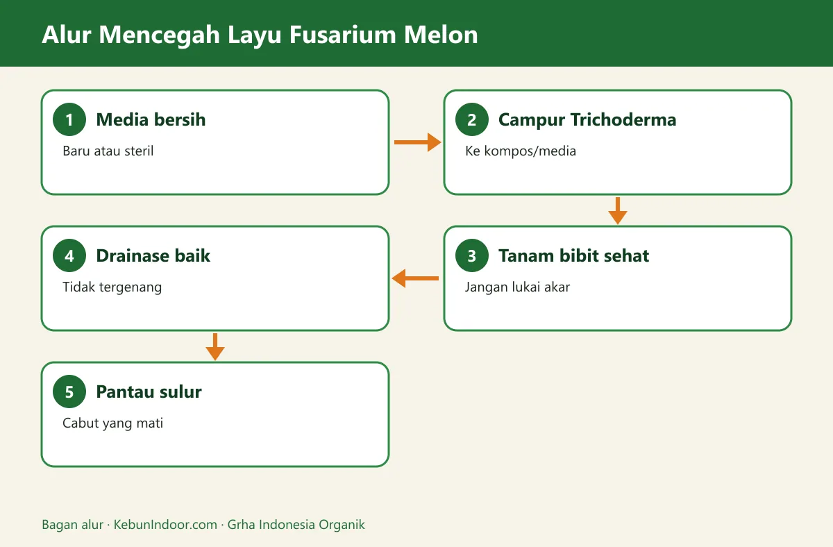 Bagan alur layu fusarium melon