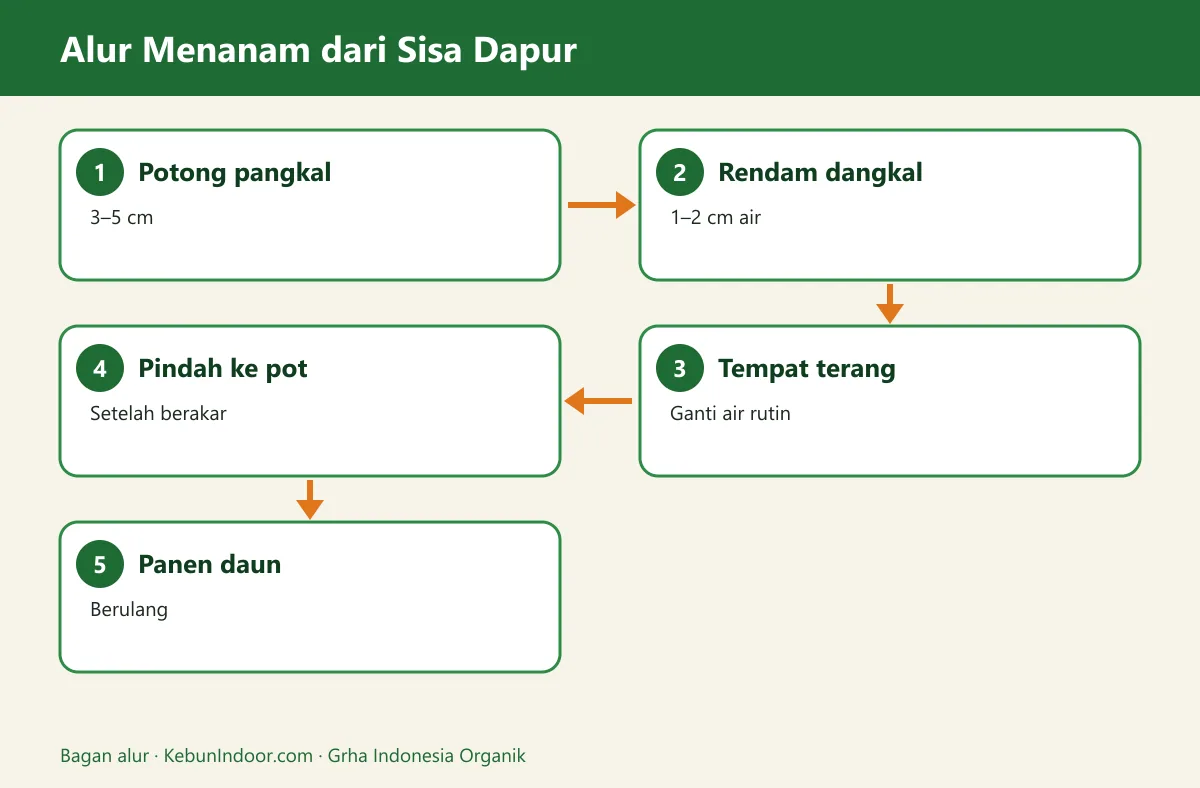 Bagan alur menanam sayur dari sisa dapur
