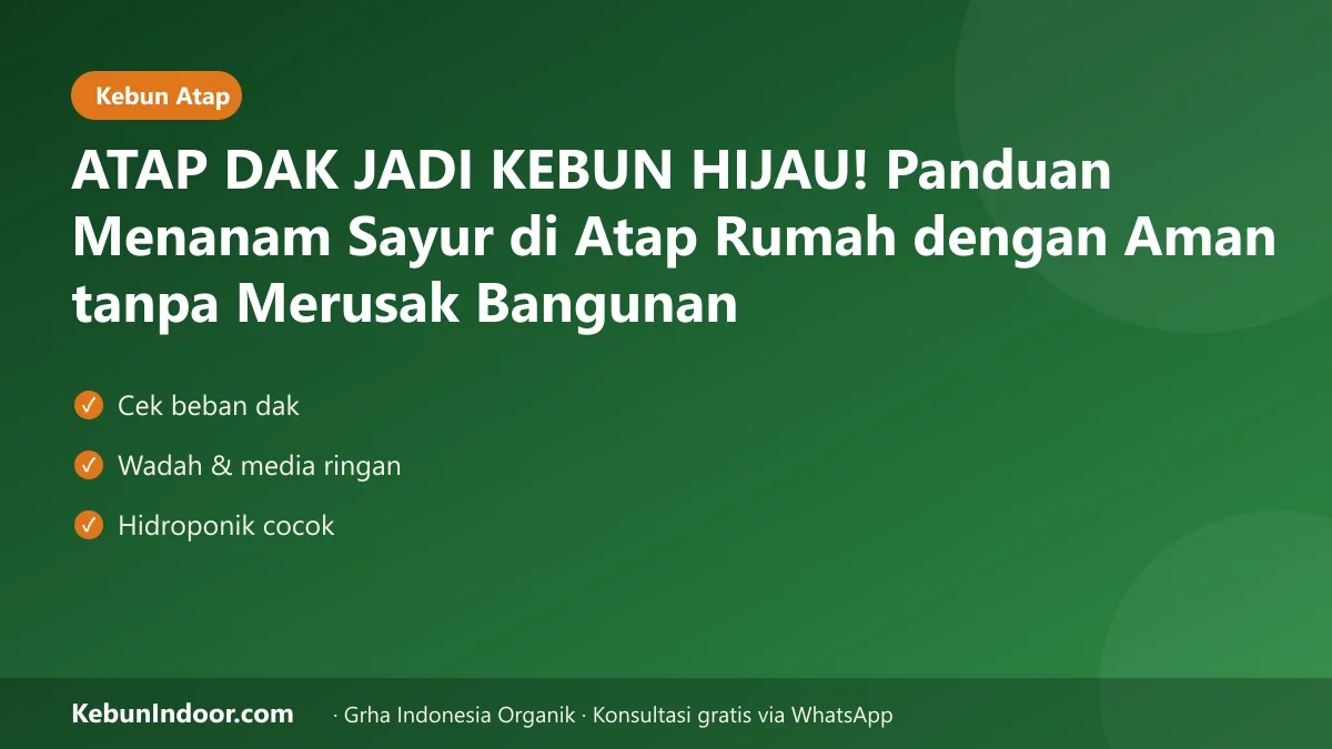 Menanam sayur di atap rumah