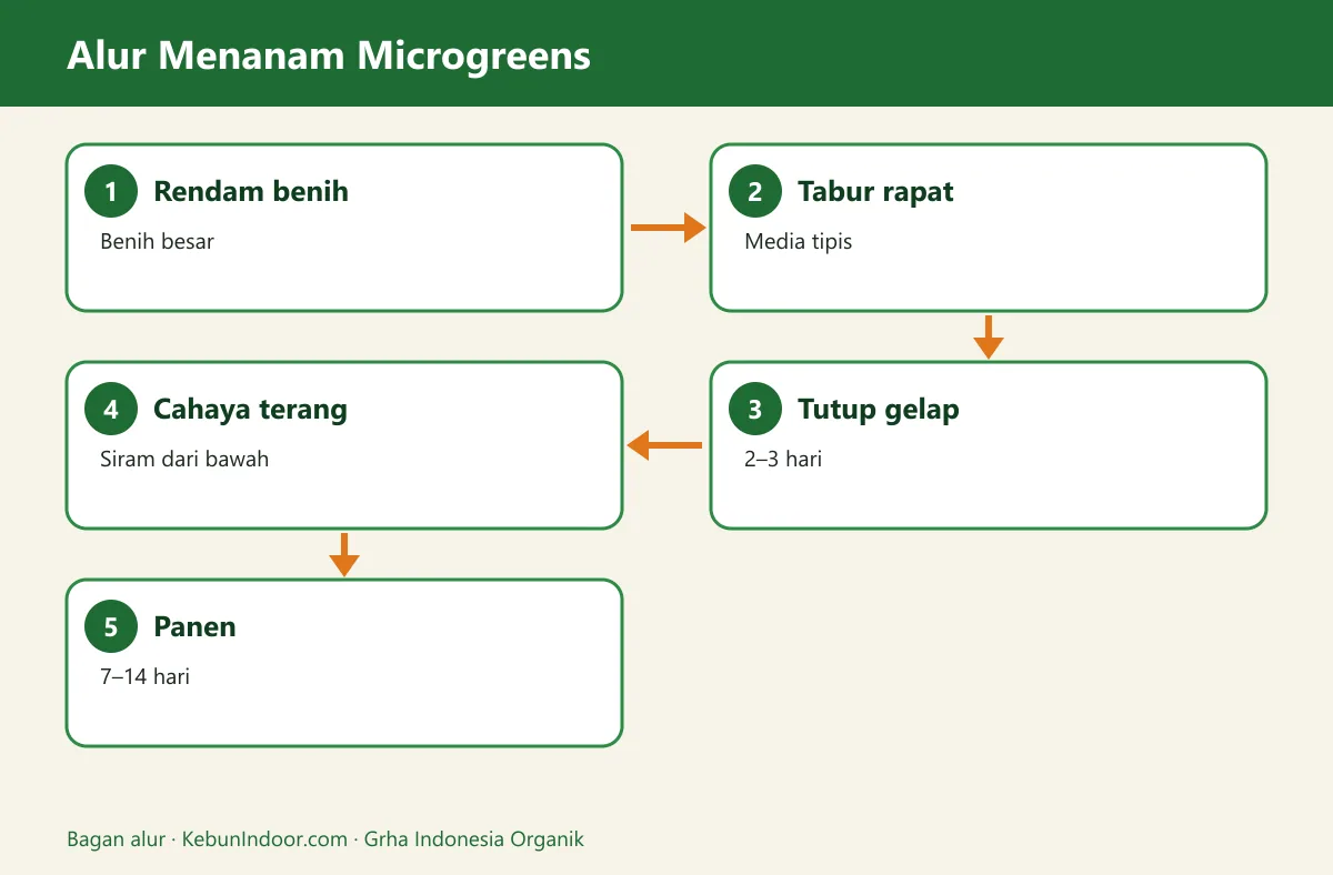 Bagan alur microgreens