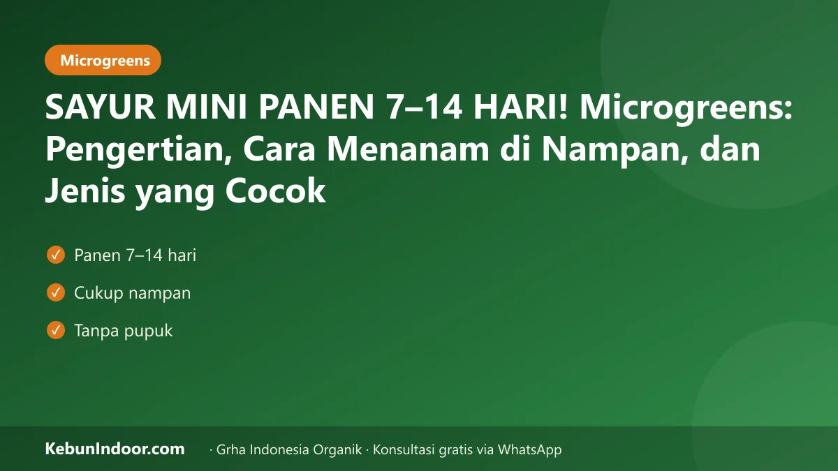 SAYUR MINI PANEN 7–14 HARI! Microgreens: Pengertian, Cara Menanam di Nampan, dan Jenis yang Cocok