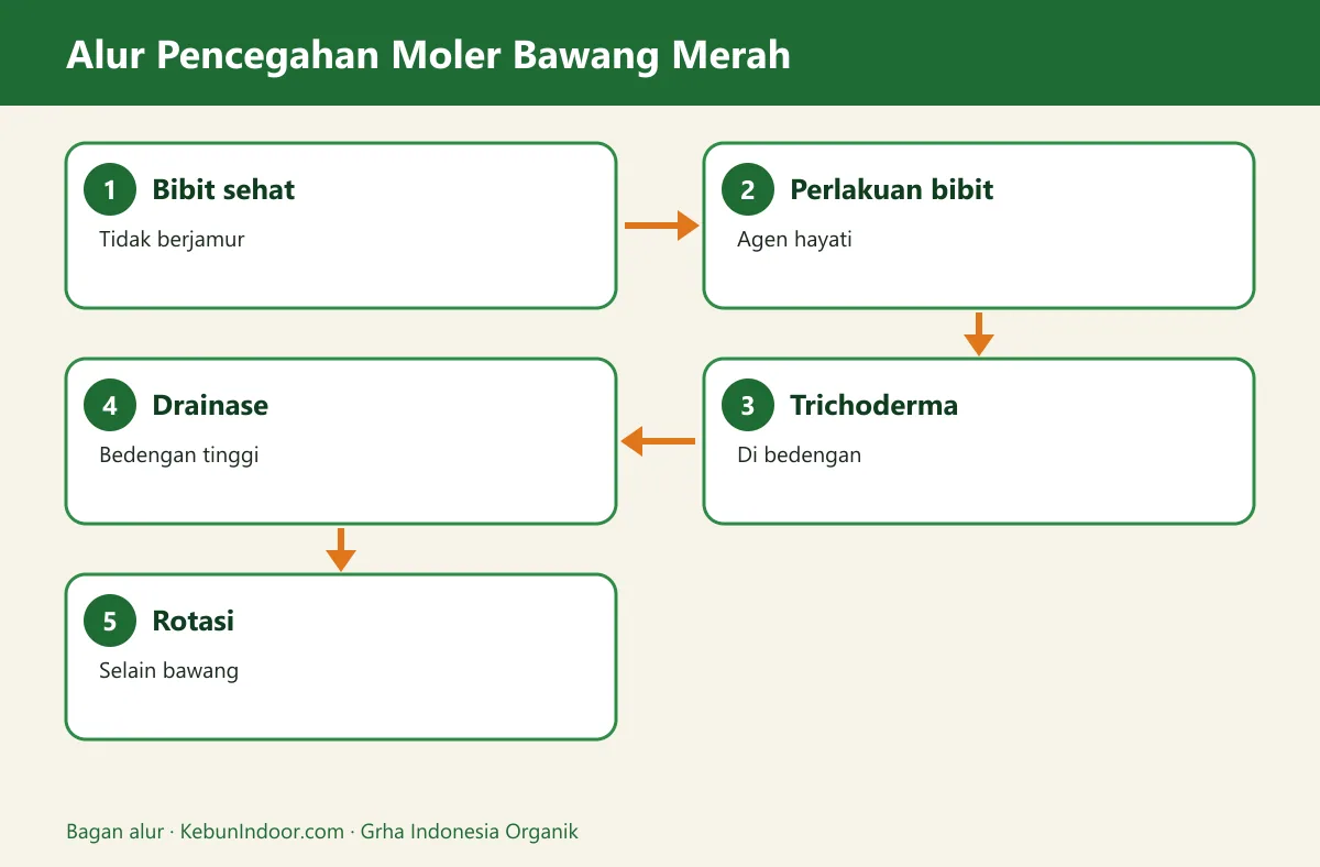 Bagan alur penyakit moler bawang merah