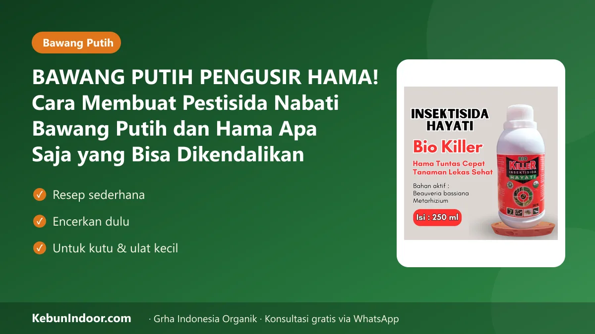BAWANG PUTIH PENGUSIR HAMA! Cara Membuat Pestisida Nabati Bawang Putih dan Hama Apa Saja yang Bisa Dikendalikan