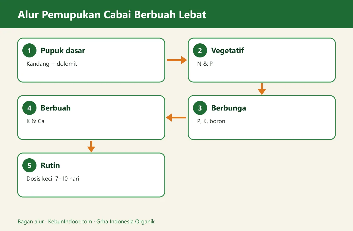 Bagan alur pupuk cabai agar berbuah lebat
