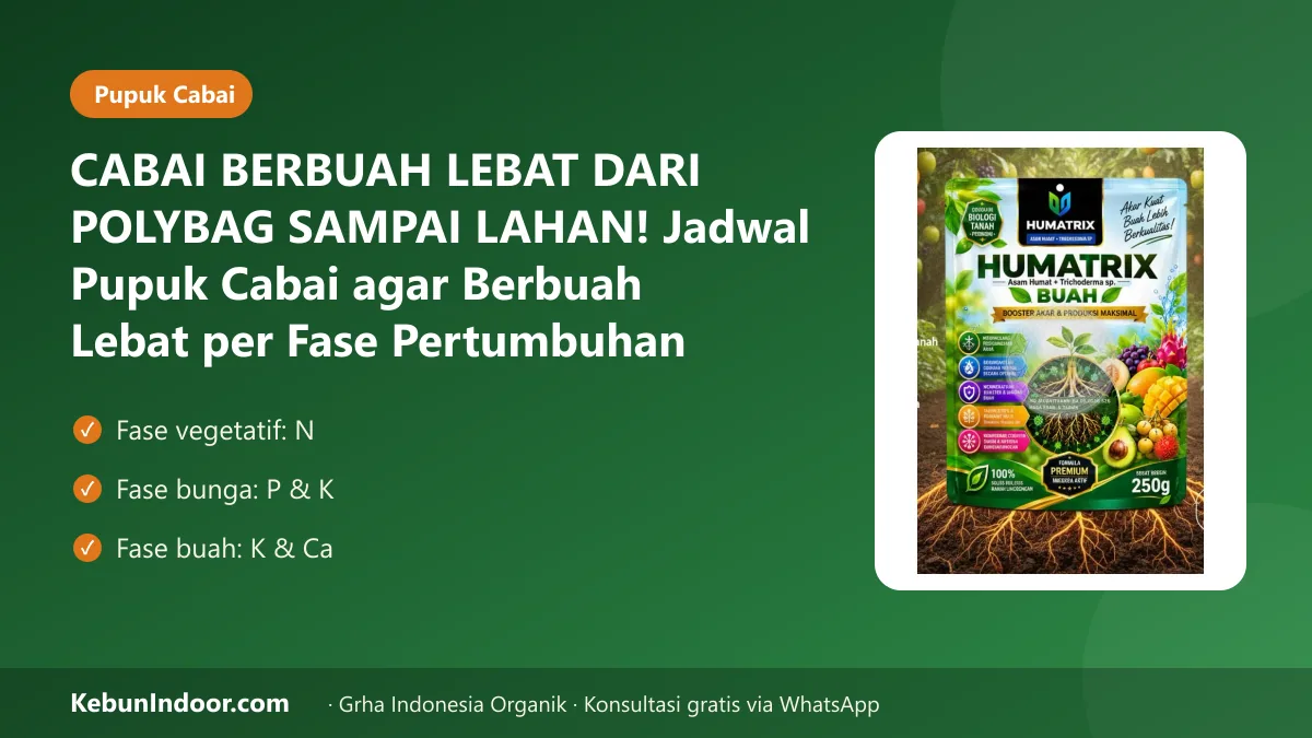 Pupuk cabai agar berbuah lebat