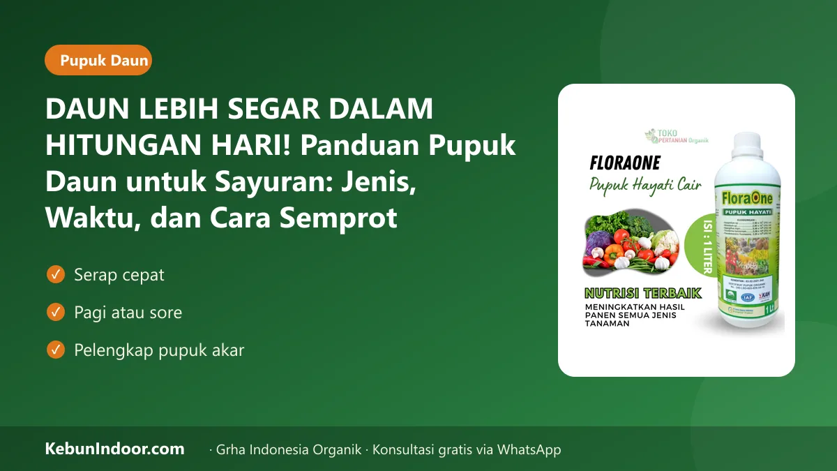 DAUN LEBIH SEGAR DALAM HITUNGAN HARI! Panduan Pupuk Daun untuk Sayuran: Jenis, Waktu, dan Cara Semprot