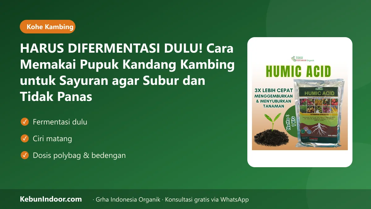HARUS DIFERMENTASI DULU! Cara Memakai Pupuk Kandang Kambing untuk Sayuran agar Subur dan Tidak Panas