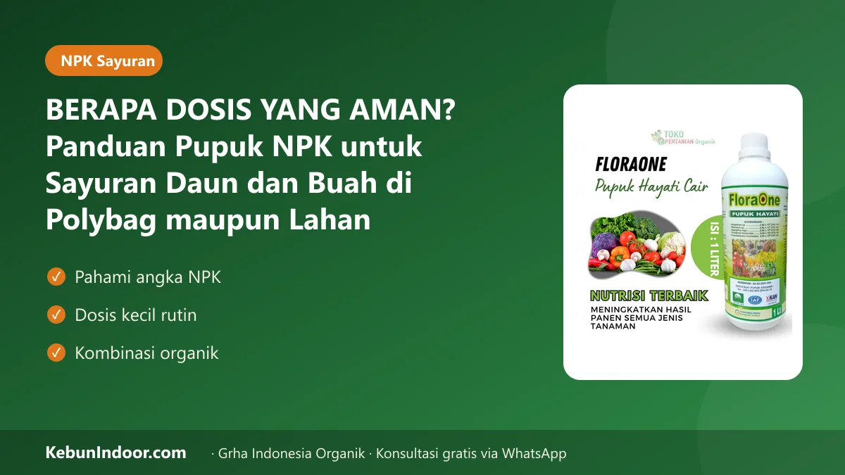 BERAPA DOSIS YANG AMAN? Panduan Pupuk NPK untuk Sayuran Daun dan Buah di Polybag maupun Lahan