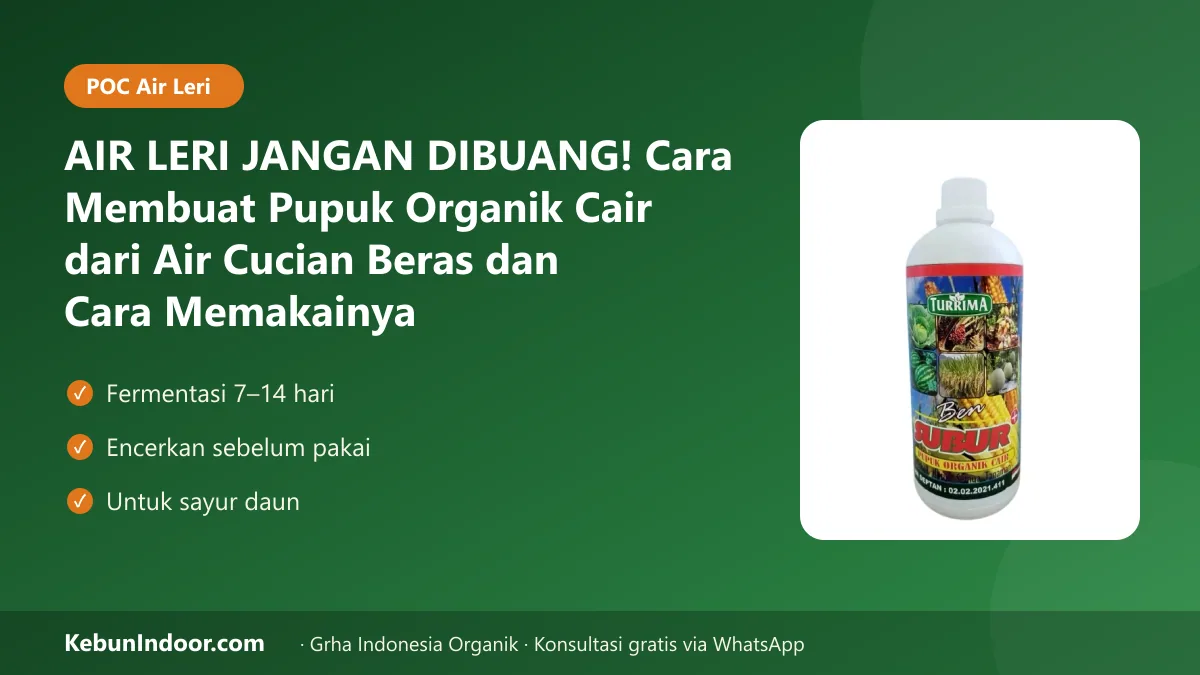 AIR LERI JANGAN DIBUANG! Cara Membuat Pupuk Organik Cair dari Air Cucian Beras dan Cara Memakainya
