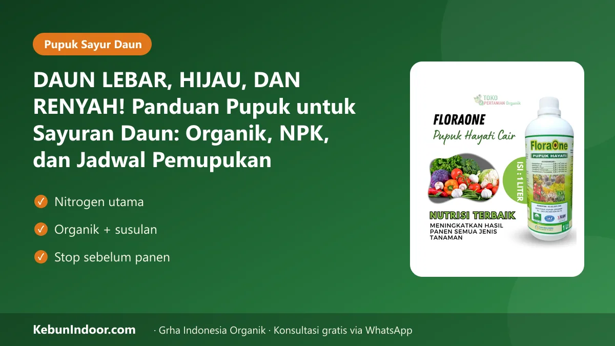 Pupuk untuk sayuran daun