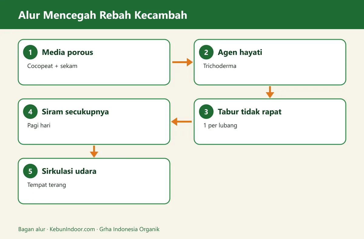 Bagan alur rebah kecambah pada semai