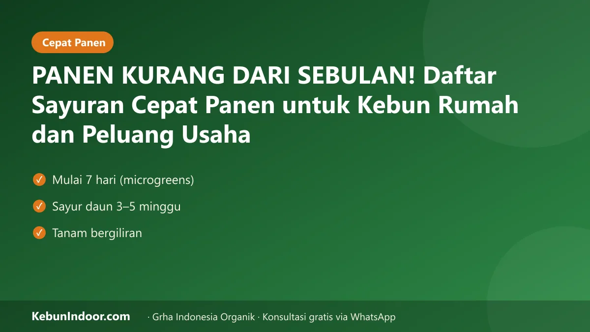 Sayuran cepat panen