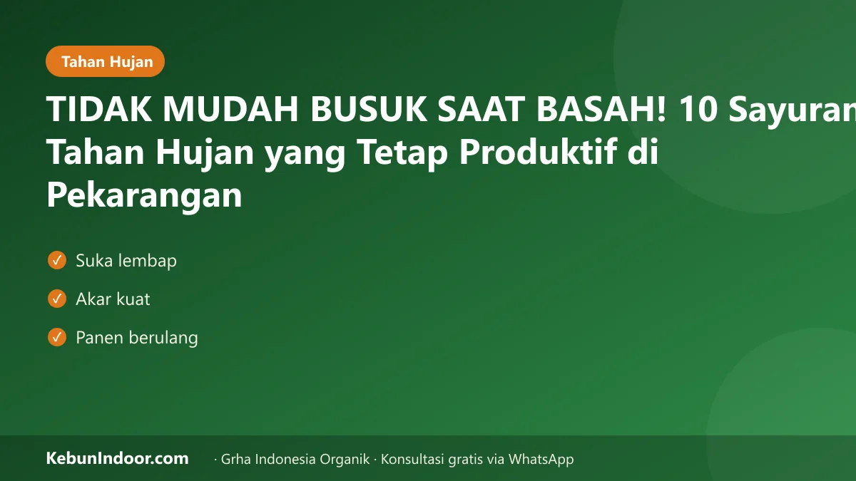 TIDAK MUDAH BUSUK SAAT BASAH! 10 Sayuran Tahan Hujan yang Tetap Produktif di Pekarangan