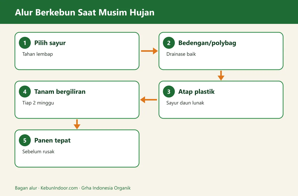 Bagan alur sayuran yang cocok ditanam saat musim hujan