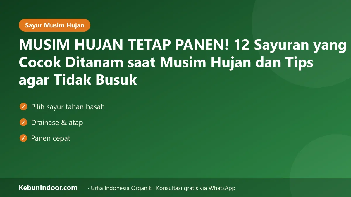 Sayuran yang cocok ditanam saat musim hujan