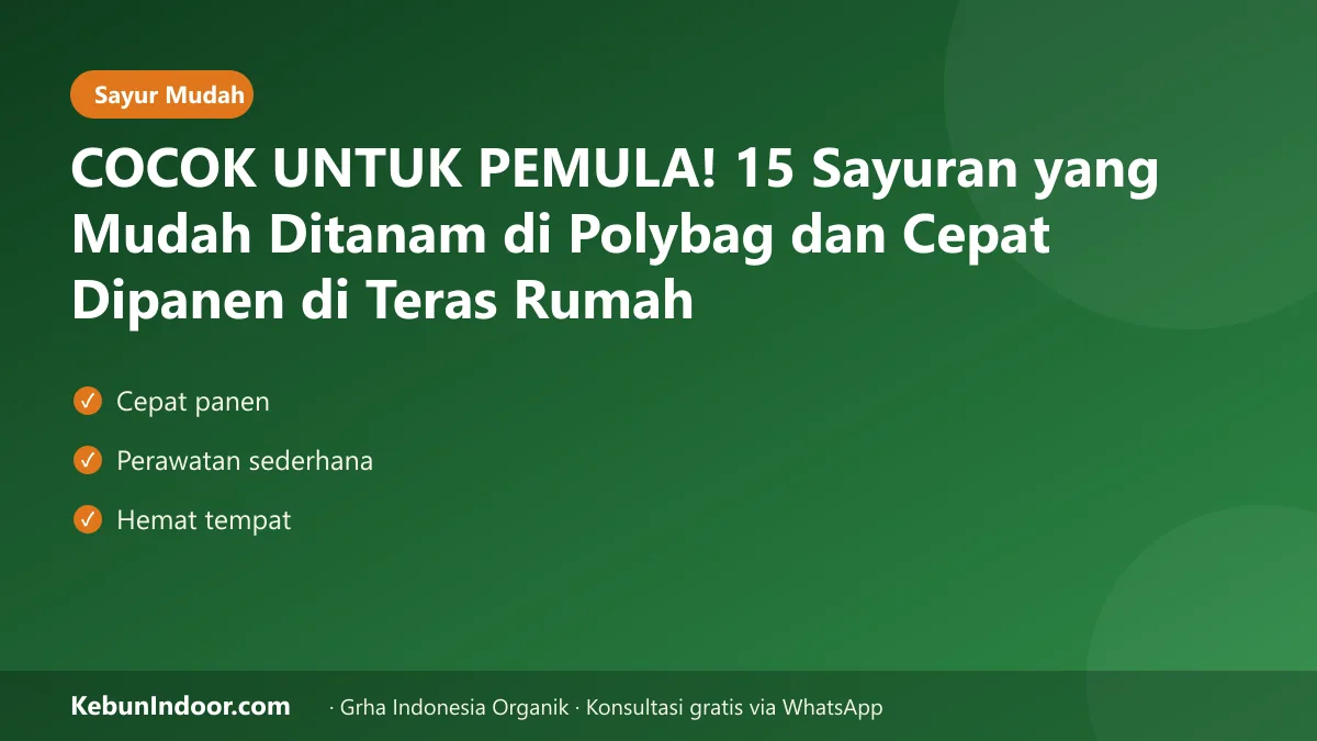 Sayuran yang mudah ditanam di polybag