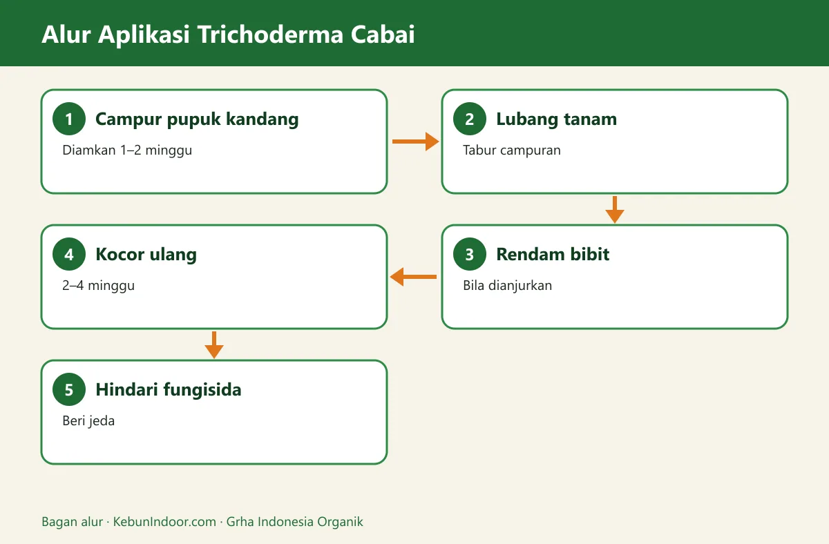 Bagan alur trichoderma untuk cabai