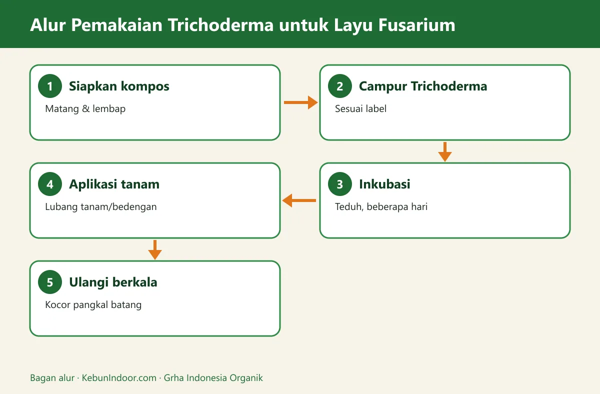 Bagan alur trichoderma untuk layu fusarium