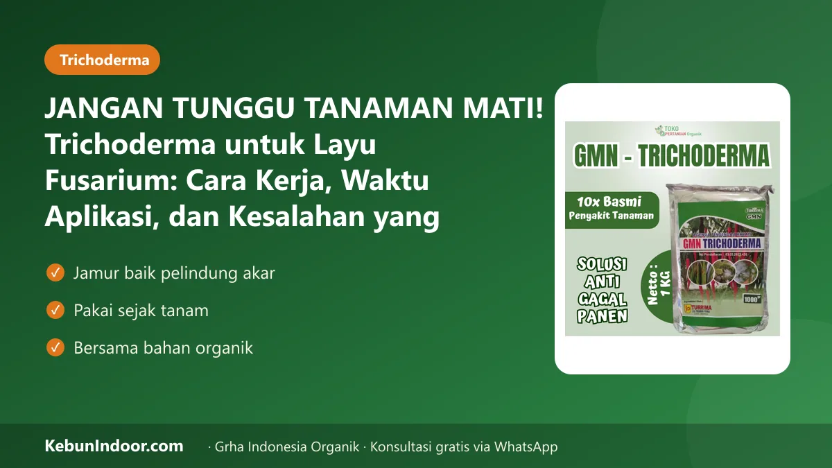 JANGAN TUNGGU TANAMAN MATI! Trichoderma untuk Layu Fusarium: Cara Kerja, Waktu Aplikasi, dan Kesalahan yang Sering Terjadi